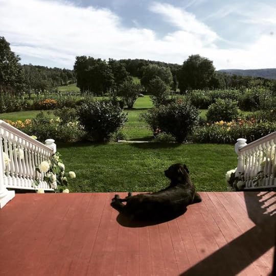 B. Social | Best of the Week