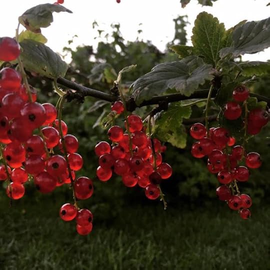 B. Social | Best of the Week