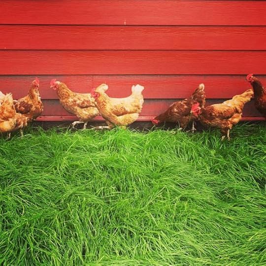 B. Social | Best of the Week