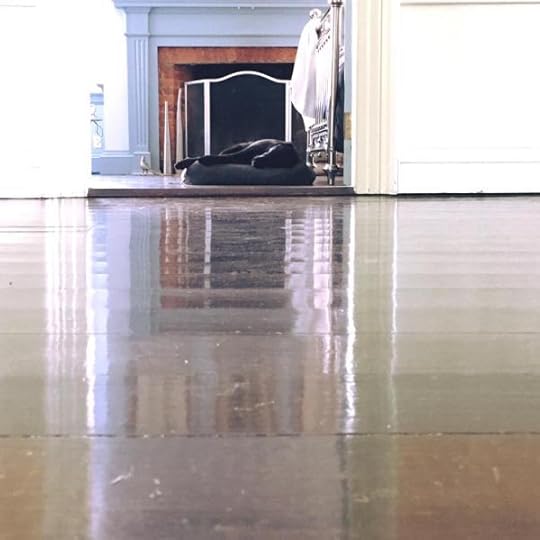 B. Social | Best of the Week