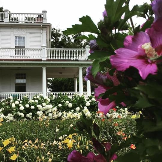 B. Social | Best of the Week