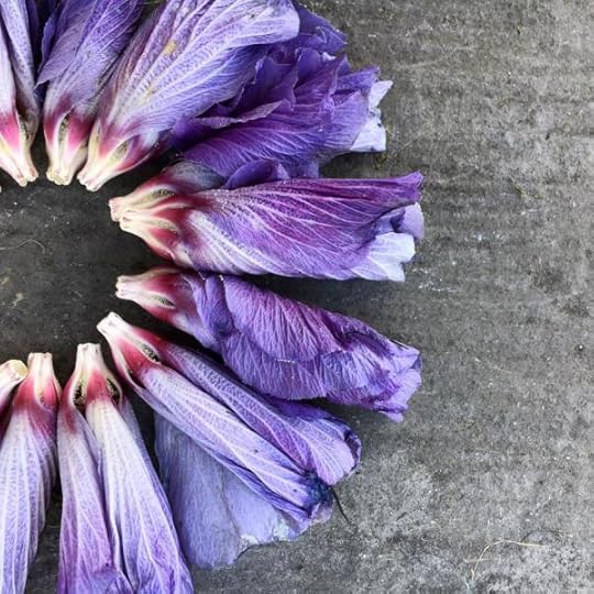 B. Social | Best of the Week