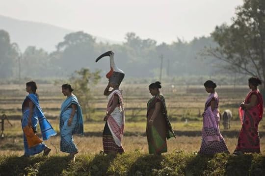 India Saving Storks