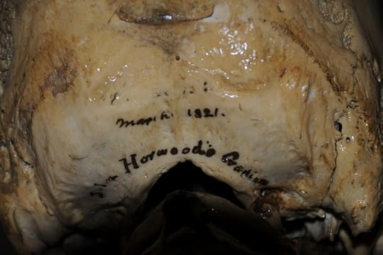 John Horwood's skeleton