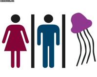 gender, British, sexuality