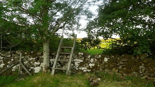 Ladder to the orchard