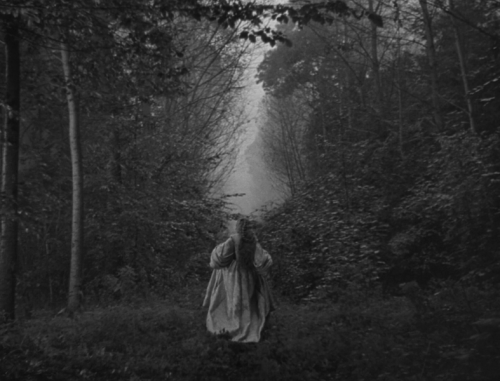 Cocteau Belle Et Bette