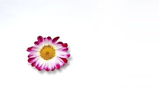 minimalism