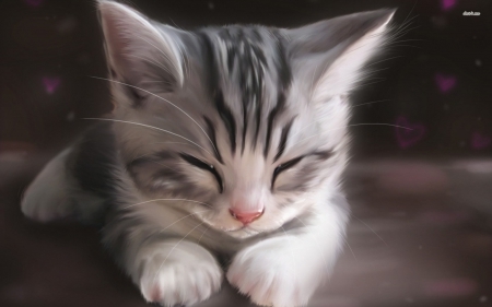 Image result for anime cats