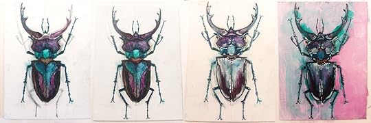 Painting Process Pink Stag Beetle