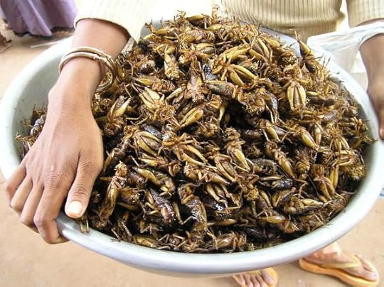 Featured Image -- 12772