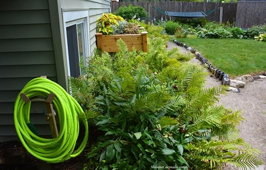 Flexzilla Drinking Water Safe Garden Hose
