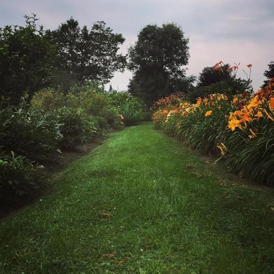 B. Social | Best of the Week