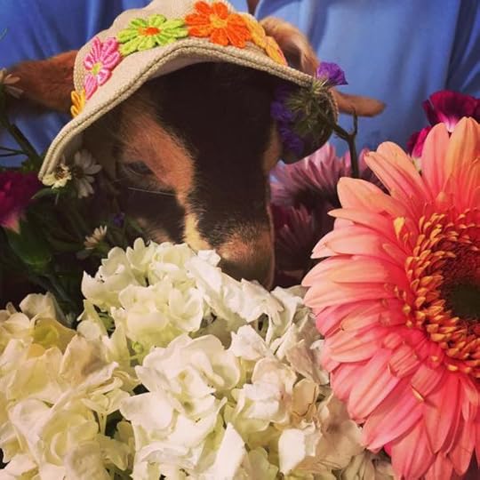 B. Social | Best of the Week