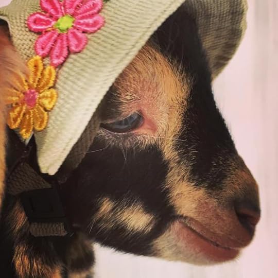 B. Social | Best of the Week