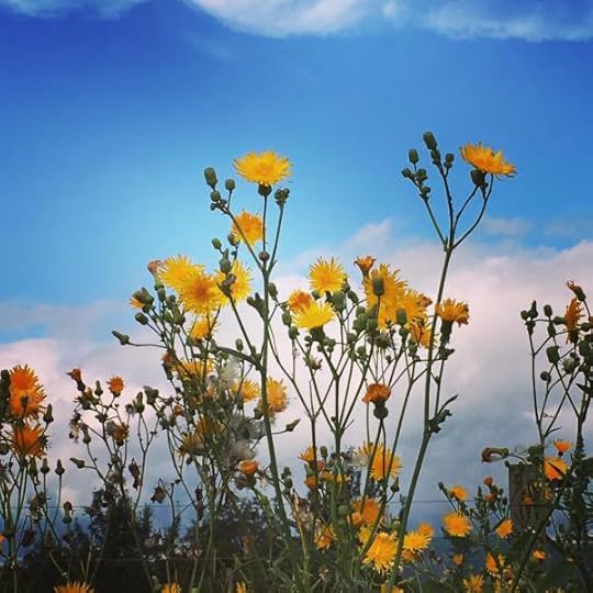 B. Social | Best of the Week