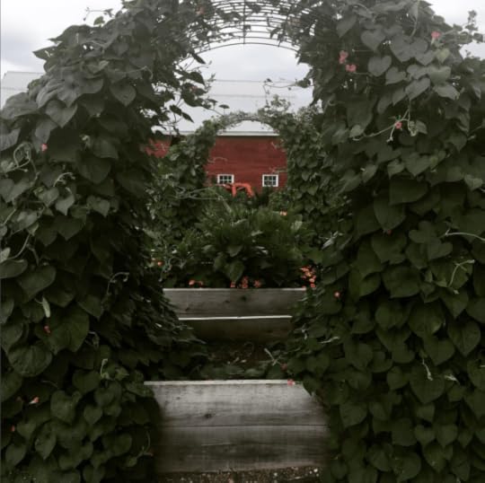 B. Social | Best of the Week