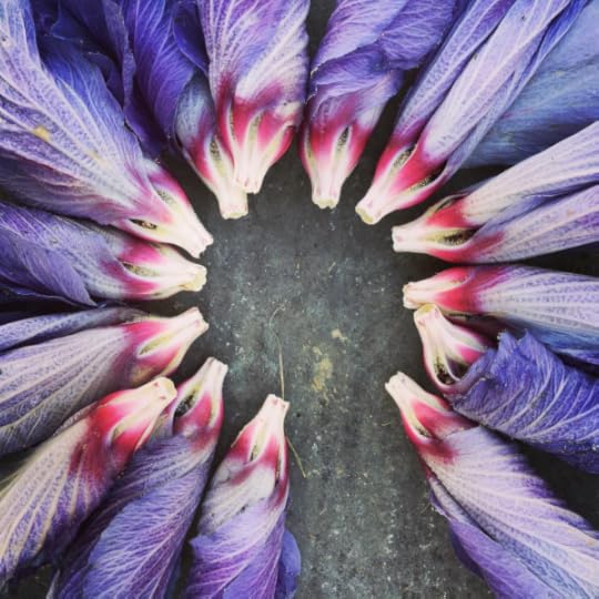 B. Social | Best of the Week