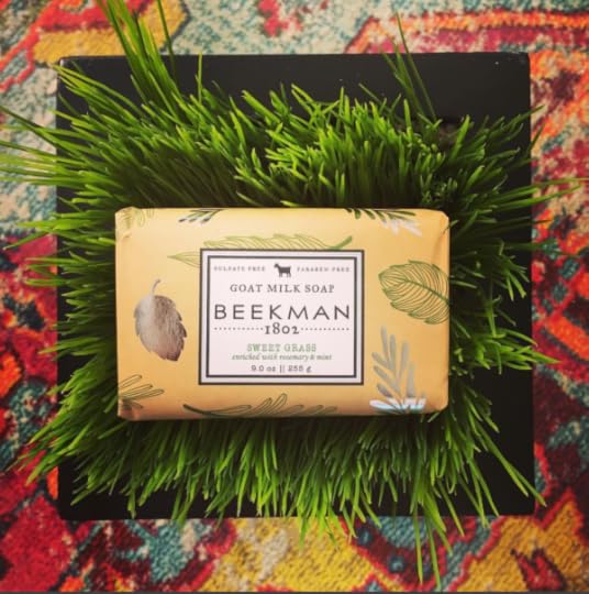 B. Social | Best of the Week