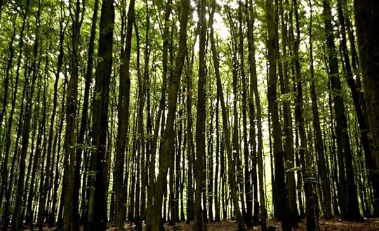 Knowing “how-to-do-it” is important, but first you need to know “what-to-do”.