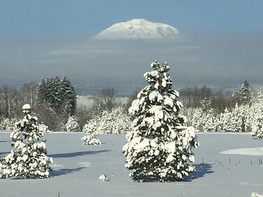 Photo by Tom Pierson