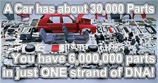 A car has about 30,000 parts. You have over 6,000,000 parts in just ONE strand of DNA!