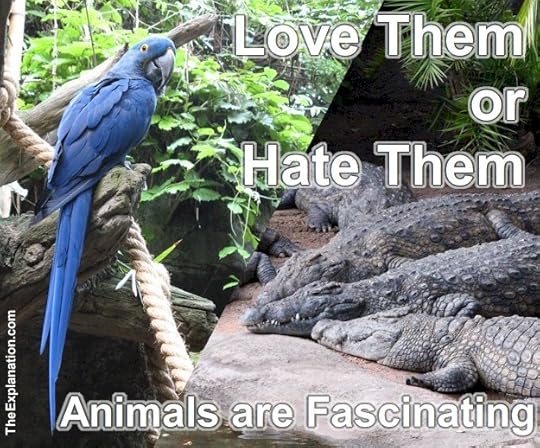 The Animal Kingdom with its beautiful biodiversity should cause mankind to sit up and think ... It is fascinating.