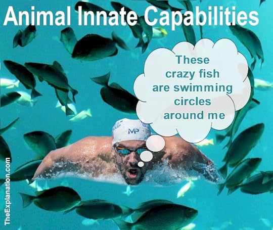 The innate capabilities of sailfish (109 km/h) let them swim circles around Michael Phelps (7 km/h) at any Olympic Games.