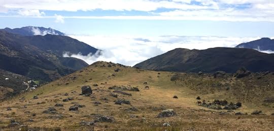 High Plateau - Cajas