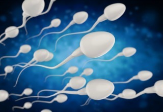 3d rendering group of white sperms