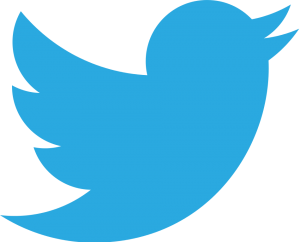 Twitter_bird_logo-300x242