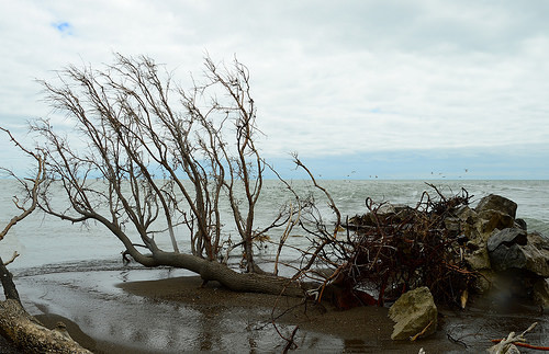 Point Pelée National Park