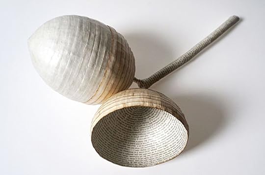 Acorn by Cecelia Levy