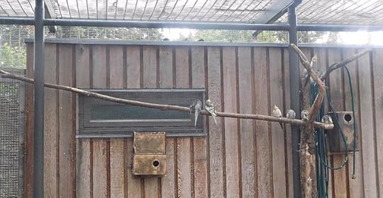 Aviary at Clissold Park