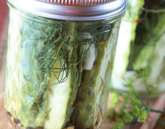 Homemade Dill Pickles