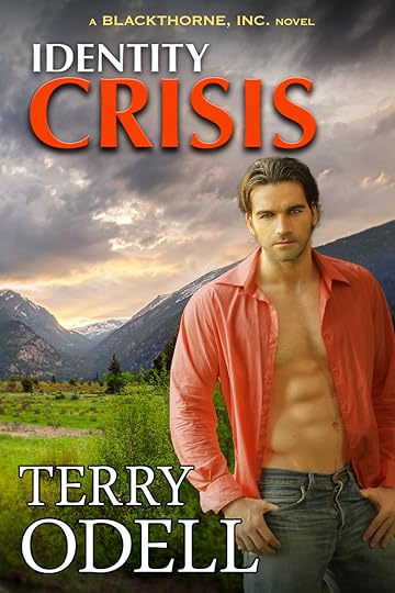 Identity Crisis, A Blackthorne, Inc. novel by Terry Odell