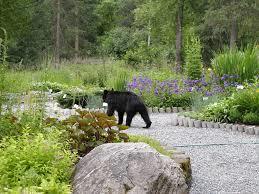 alaskagarden