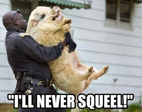 Image result for interrogation meme
