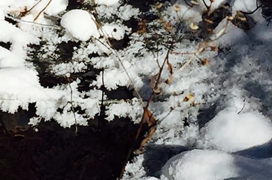 March 2016 blog_snowflake_leap day