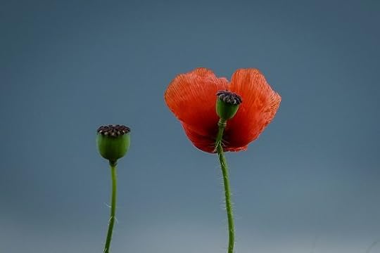 comparing yourself to other writers