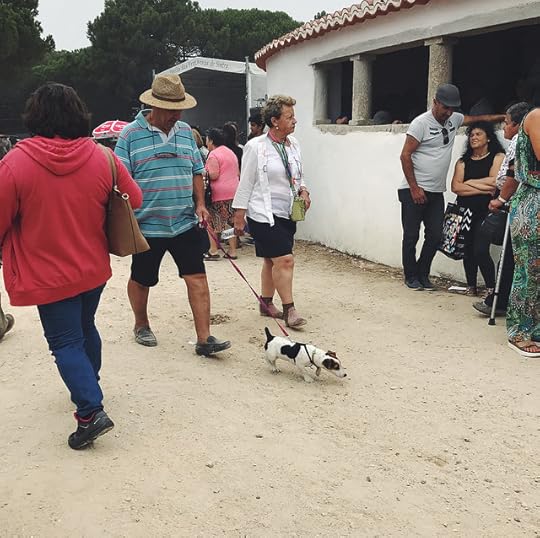 bênção do gado por são mamede