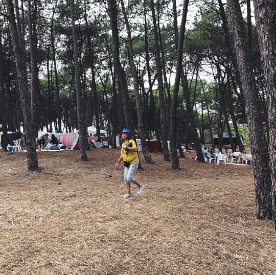 bênção do gado por são mamede