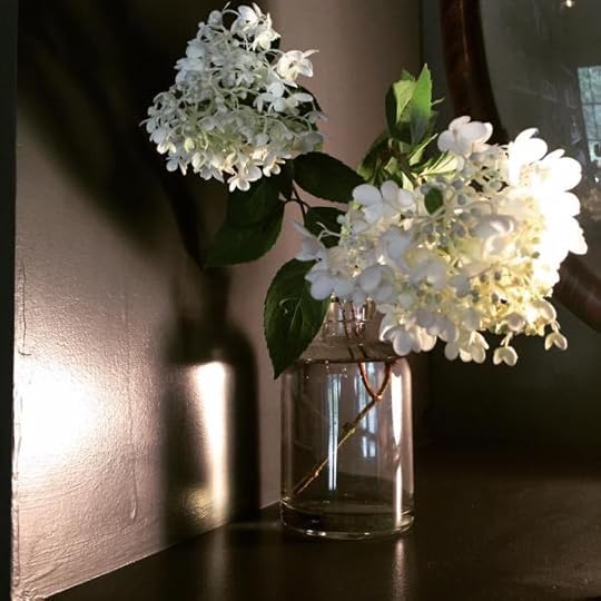 B. Social | Best of the week
