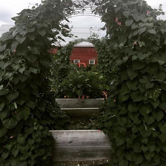 B. Social | Best of the week