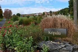 kripalu1.jpeg