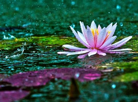 Image result for rain