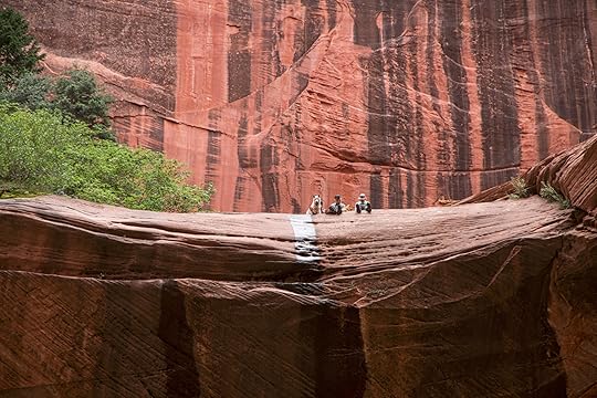 Dipshits with Dogs in a National Park