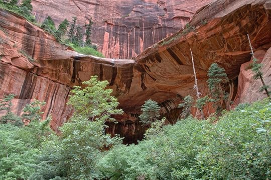 Double Arch Alcove in Zion National Park