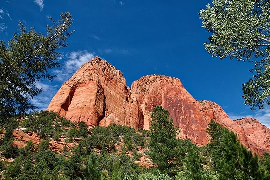Along Taylor Creek Trail
