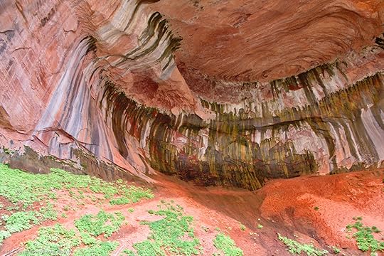 Zion National Park - Double Arch Alcove Lower Grotto